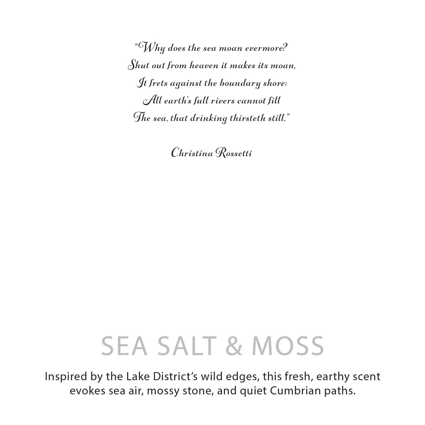 Sea Salt & Moss Botanical Soy Wax Candle – 350g